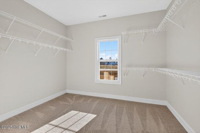 1004 Bonito Bend, New Bern, NC 28562