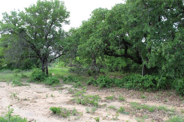 TBD Tract 1 County Road 109, Mingus, TX 76463
