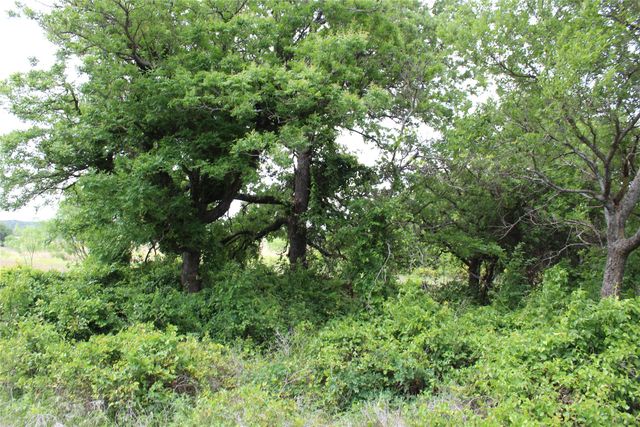 TBD Tract 1 County Road 109, Mingus, TX 76463