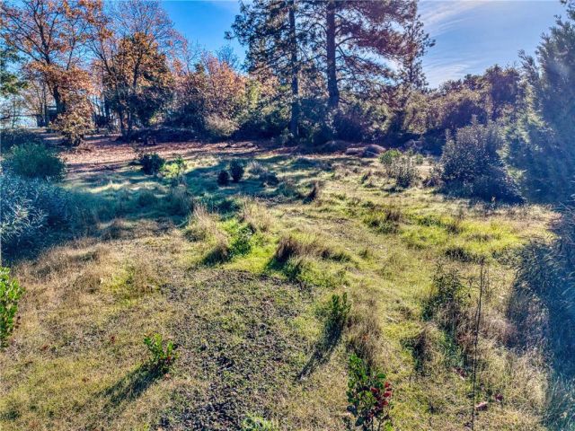9184 Diamond Dust, Kelseyville, CA 95451