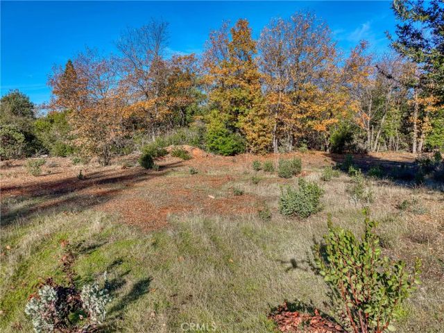 9184 Diamond Dust, Kelseyville, CA 95451