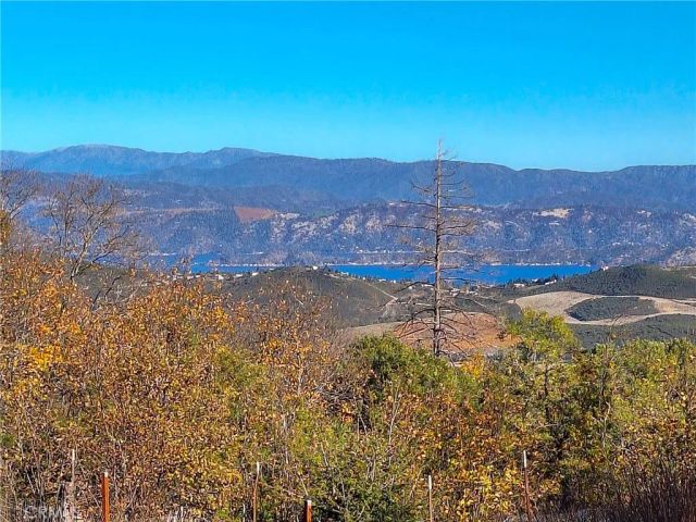 9184 Diamond Dust, Kelseyville, CA 95451