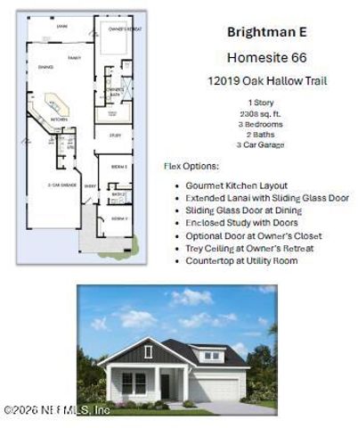 12019 OAK HOLLOW Trail, Jacksonville, FL 32256