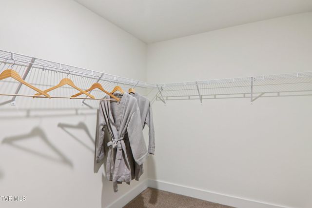 336 Cookie Loop, Johnson City, TN 37615