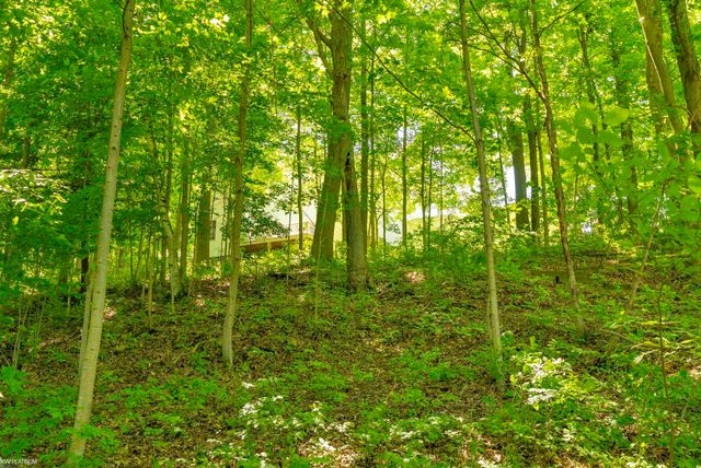 8211 Black River Road, Worth Twp, MI 48422