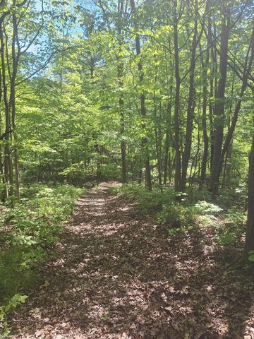 8211 Black River Road, Worth Twp, MI 48422
