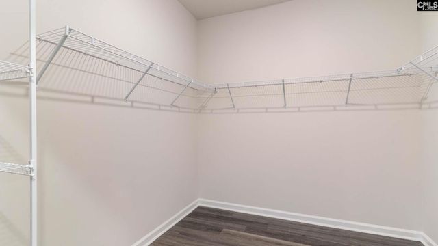 126 Ruby Prince Road, Gilbert, SC 29054