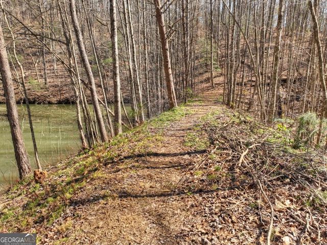 638 Cohutta Mountain Road 159, Cherry Log, GA 30522