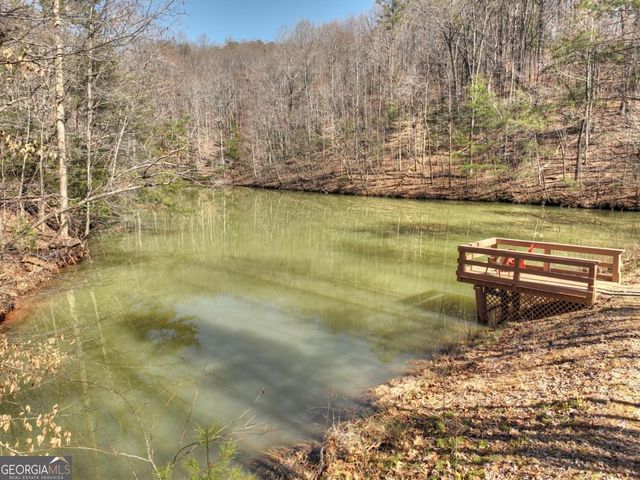 638 Cohutta Mountain Road 159, Cherry Log, GA 30522