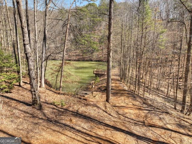 638 Cohutta Mountain Road 159, Cherry Log, GA 30522