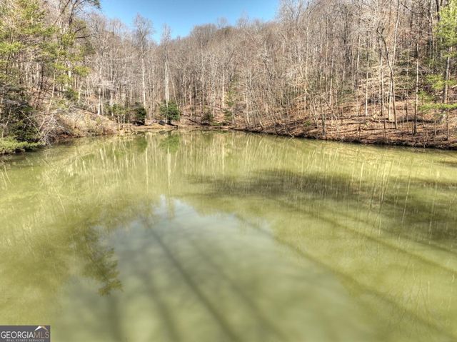 638 Cohutta Mountain Road 159, Cherry Log, GA 30522