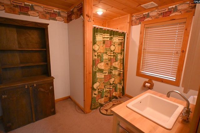 100 Rocky Cove Road, Lexington, SC 29072