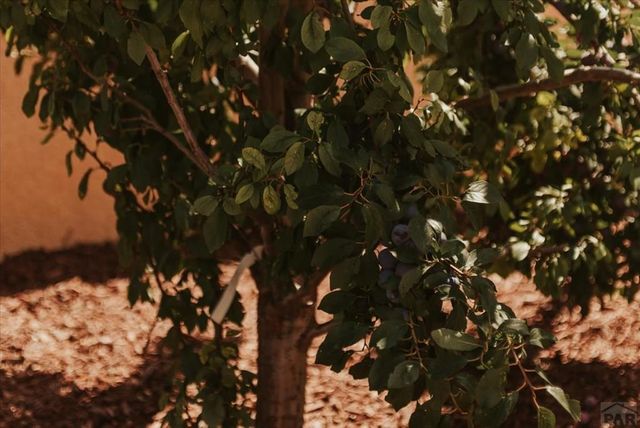 533 W Archer Dr, Pueblo West, CO 81007