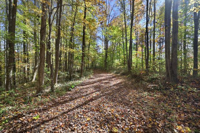 0 Smithville Hwy, Silver Point, TN 38582