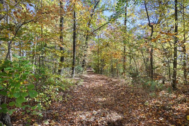 0 Smithville Hwy, Silver Point, TN 38582