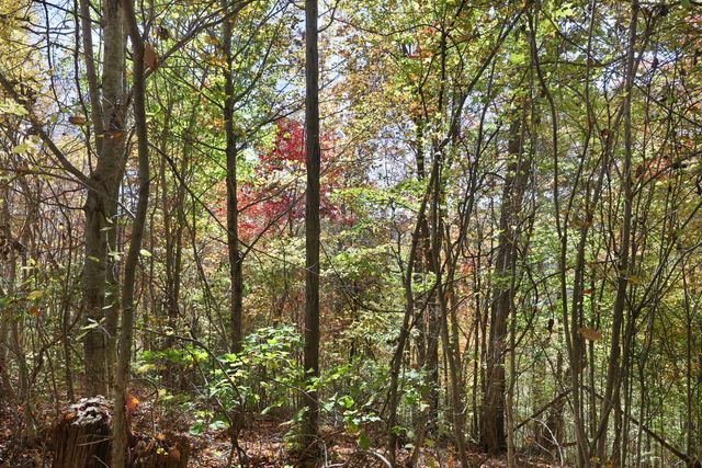 0 Smithville Hwy, Silver Point, TN 38582