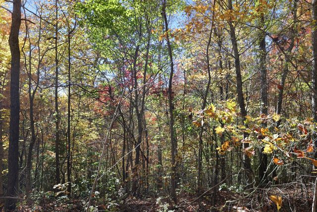 0 Smithville Hwy, Silver Point, TN 38582