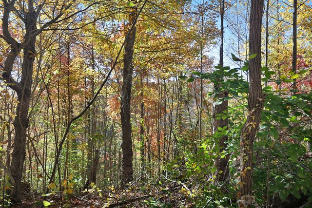 0 Smithville Hwy, Silver Point, TN 38582