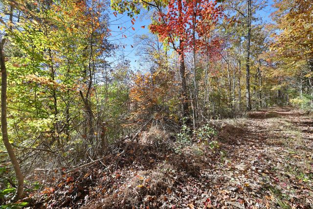 0 Smithville Hwy, Silver Point, TN 38582