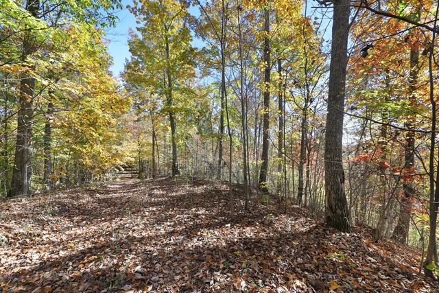 0 Smithville Hwy, Silver Point, TN 38582