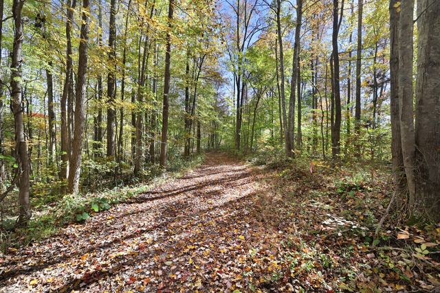 0 Smithville Hwy, Silver Point, TN 38582