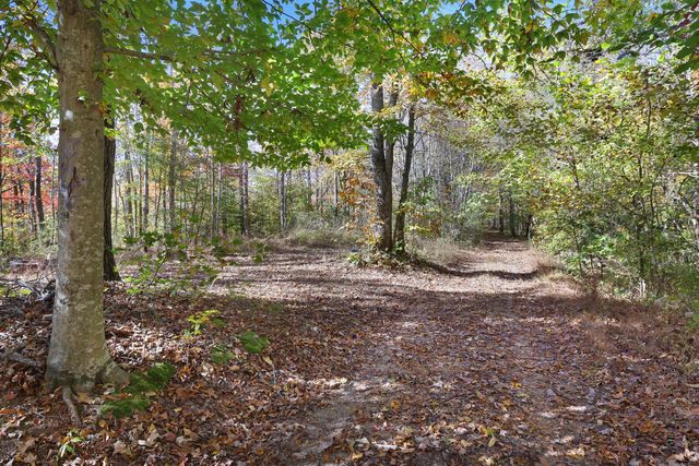 0 Smithville Hwy, Silver Point, TN 38582