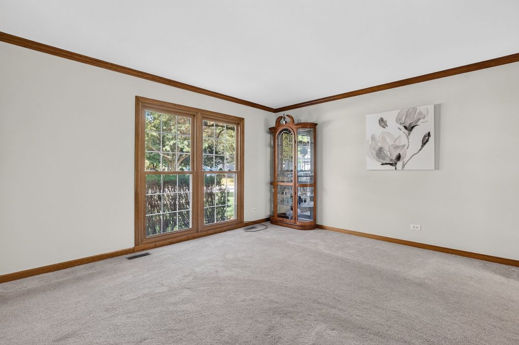 13311 S Columbine Circle, Plainfield, IL 60585 — photo 5