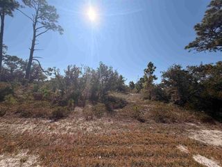 13000 Gongora Dr, Perdido Key, FL 32507