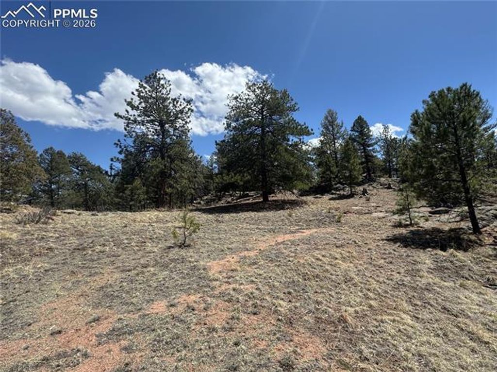 487 Pike View Lane, Florissant, CO 80816 — photo 4