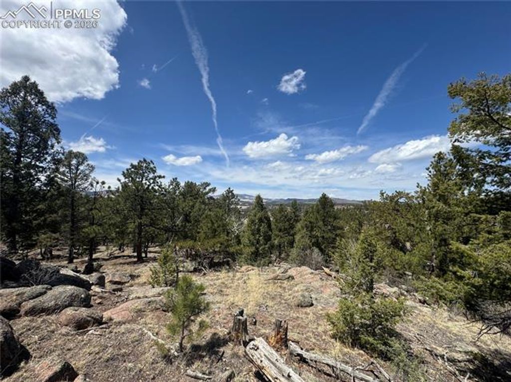 487 Pike View Lane, Florissant, CO 80816 — photo 5