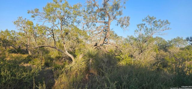 109 Sylas Hayes, Pleasanton, TX 78064