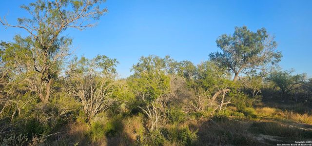 109 Sylas Hayes, Pleasanton, TX 78064