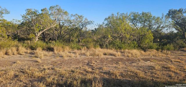 109 Sylas Hayes, Pleasanton, TX 78064