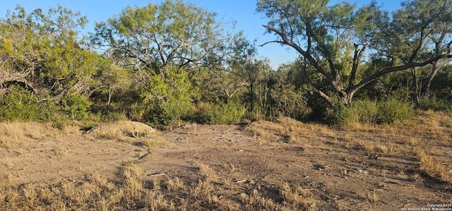 109 Sylas Hayes, Pleasanton, TX 78064