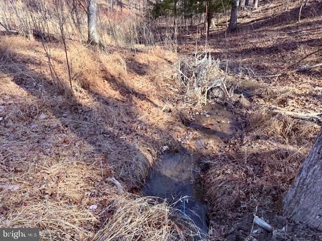 1156 PROVIDENCE CHURCH RD, Hedgesville, WV 25427