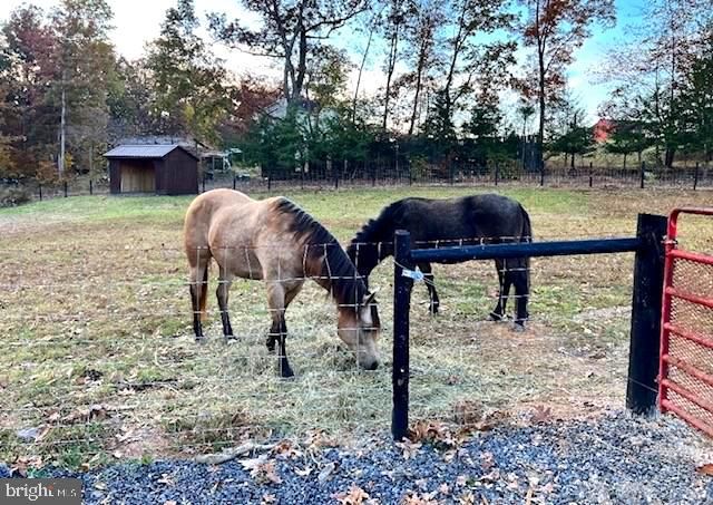 1156 PROVIDENCE CHURCH RD, Hedgesville, WV 25427