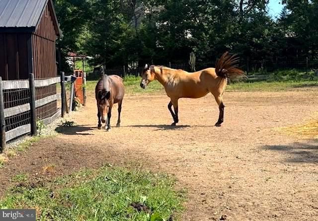 1156 PROVIDENCE CHURCH RD, Hedgesville, WV 25427