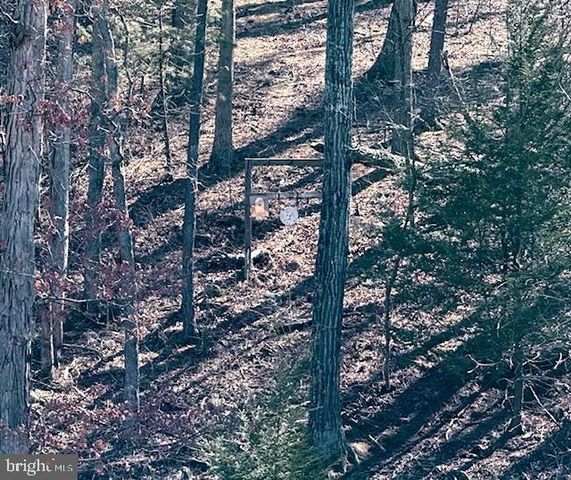 1156 PROVIDENCE CHURCH RD, Hedgesville, WV 25427