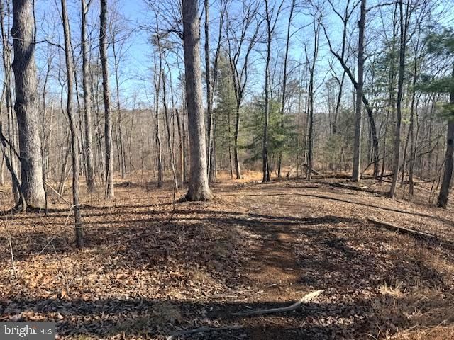 1156 PROVIDENCE CHURCH RD, Hedgesville, WV 25427