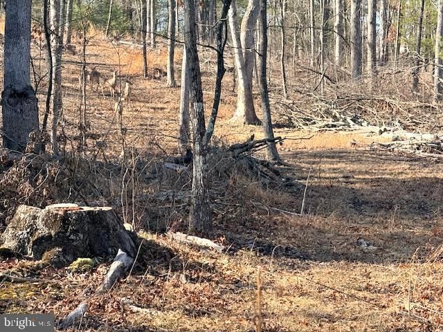 1156 PROVIDENCE CHURCH RD, Hedgesville, WV 25427