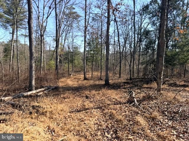 1156 PROVIDENCE CHURCH RD, Hedgesville, WV 25427