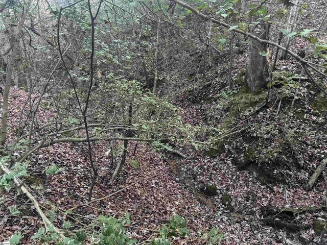 38 Old Plantation Road, Travelers Rest, SC 29690