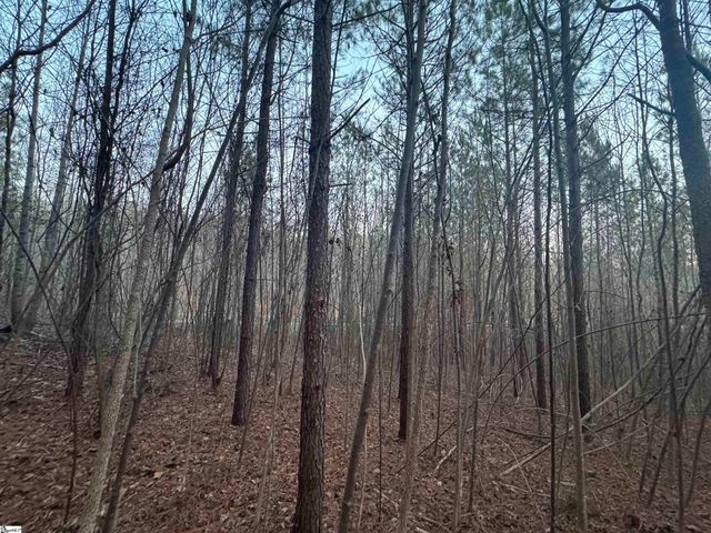 38 Old Plantation Road, Travelers Rest, SC 29690