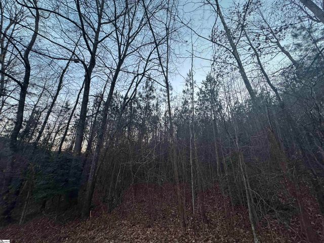 38 Old Plantation Road, Travelers Rest, SC 29690