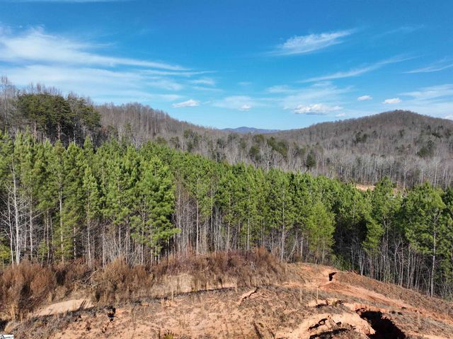 38 Old Plantation Road, Travelers Rest, SC 29690