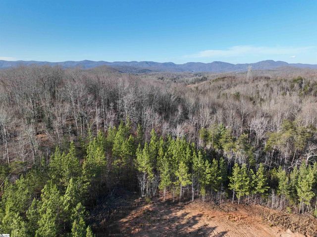 38 Old Plantation Road, Travelers Rest, SC 29690