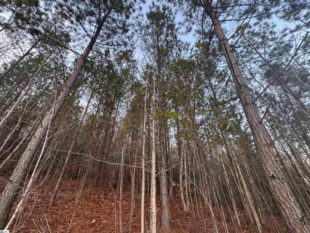 38 Old Plantation Road, Travelers Rest, SC 29690