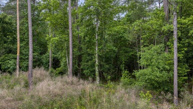 1205 Red Buckeye Court, Moncks Corner, SC 29461