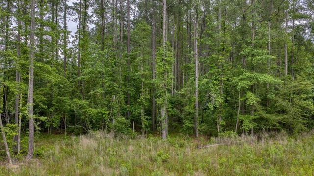 1205 Red Buckeye Court, Moncks Corner, SC 29461