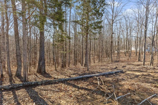 3015 River Gorge Drive Homesite 974, Chattanooga, TN 37419